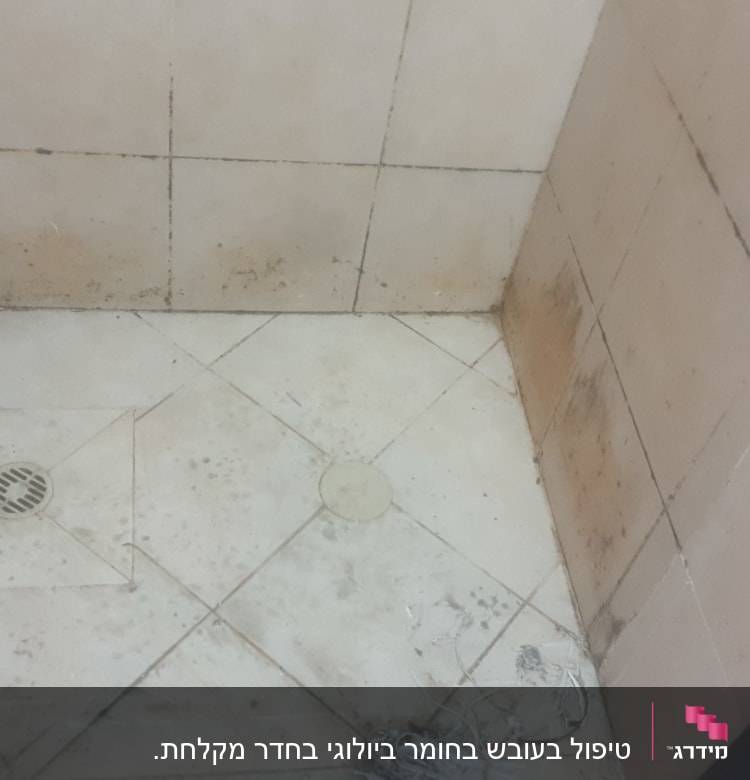 רצפת מקלחת עם אריחים מלוכלכים וניקוז